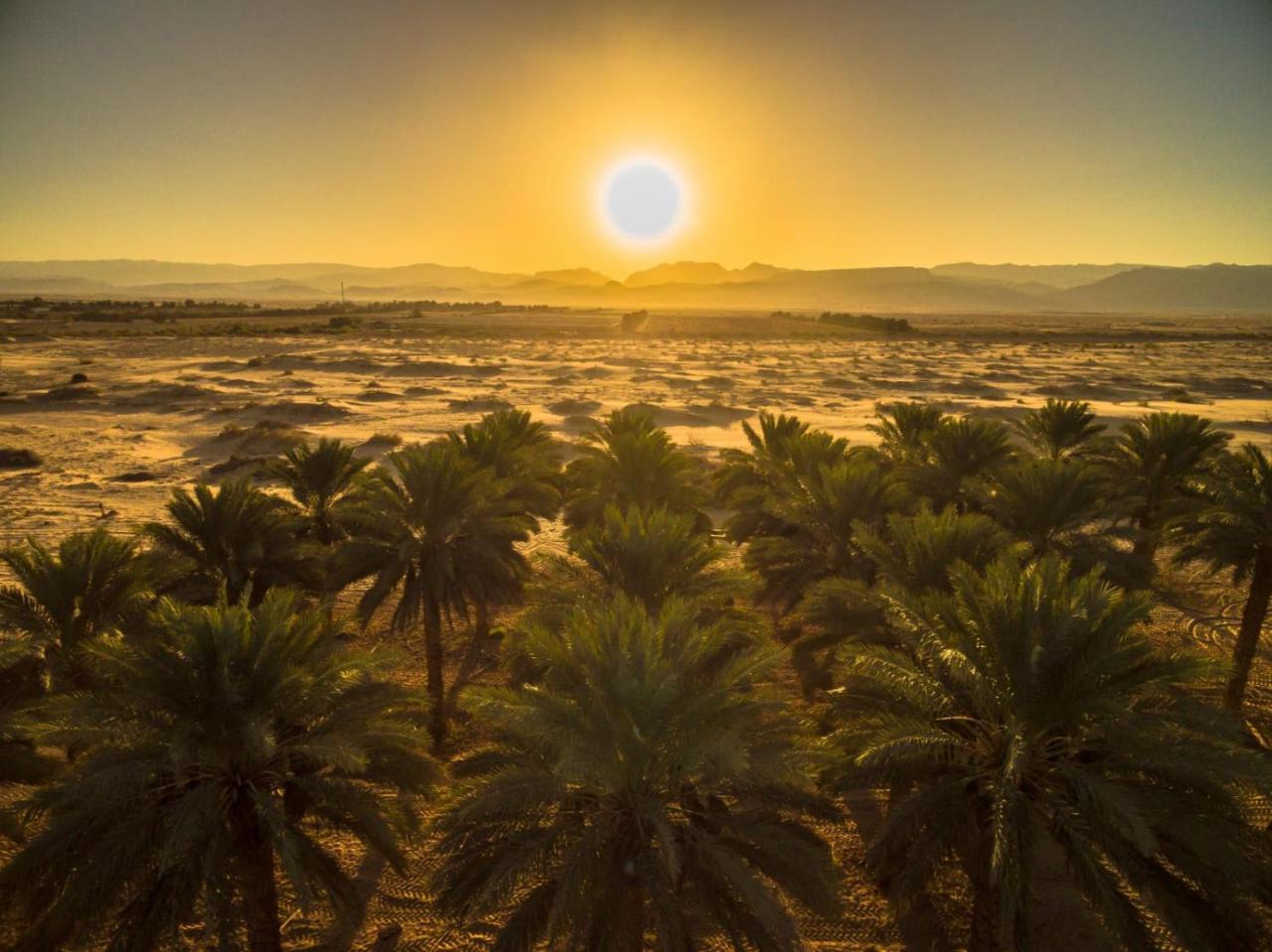 Lotan Desert Travel Hotel Nahal Ya'alon Екстериор снимка